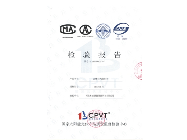 多晶60W檢測報(bào)告